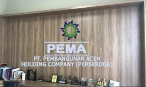 Jangan Main-main! Pengangkatan Direksi Harus Sesuai Aturan, Jika Tidak Bisa Cacat Hukum
