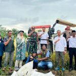 Panen Raya di Madat, Wabup Aceh Timur Tunjukkan Potensi Lumbung Pangan Nasional