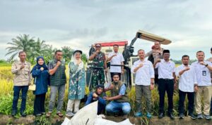 Panen Raya di Madat, Wabup Aceh Timur Tunjukkan Potensi Lumbung Pangan Nasional