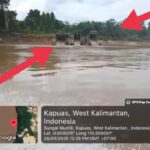 Tambang Emas Ilegal di Sungai Kapuas Terus Beroperasi, Penegak Hukum Diduga Tutup Mata