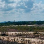 PETI Di Sekadau Gunakan Solar Subsidi, Dugaan Setoran Ke Oknum APH Mencuat
