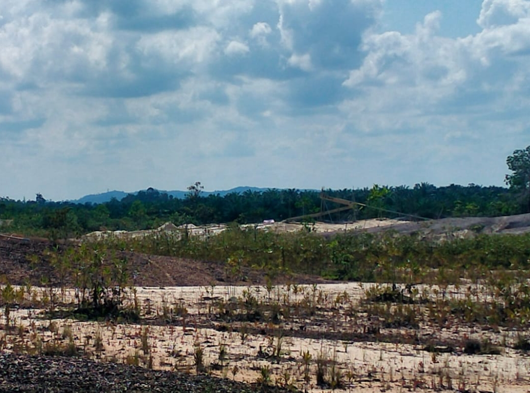 PETI Di Sekadau Gunakan Solar Subsidi, Dugaan Setoran Ke Oknum APH Mencuat
