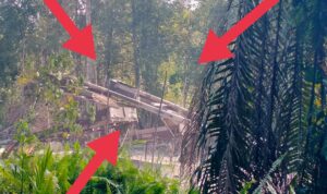 Suara Dompeng Emas Ilegal Guncang Sekadau : Aparat Diduga Jadi Pemodal dan Penerima Upeti