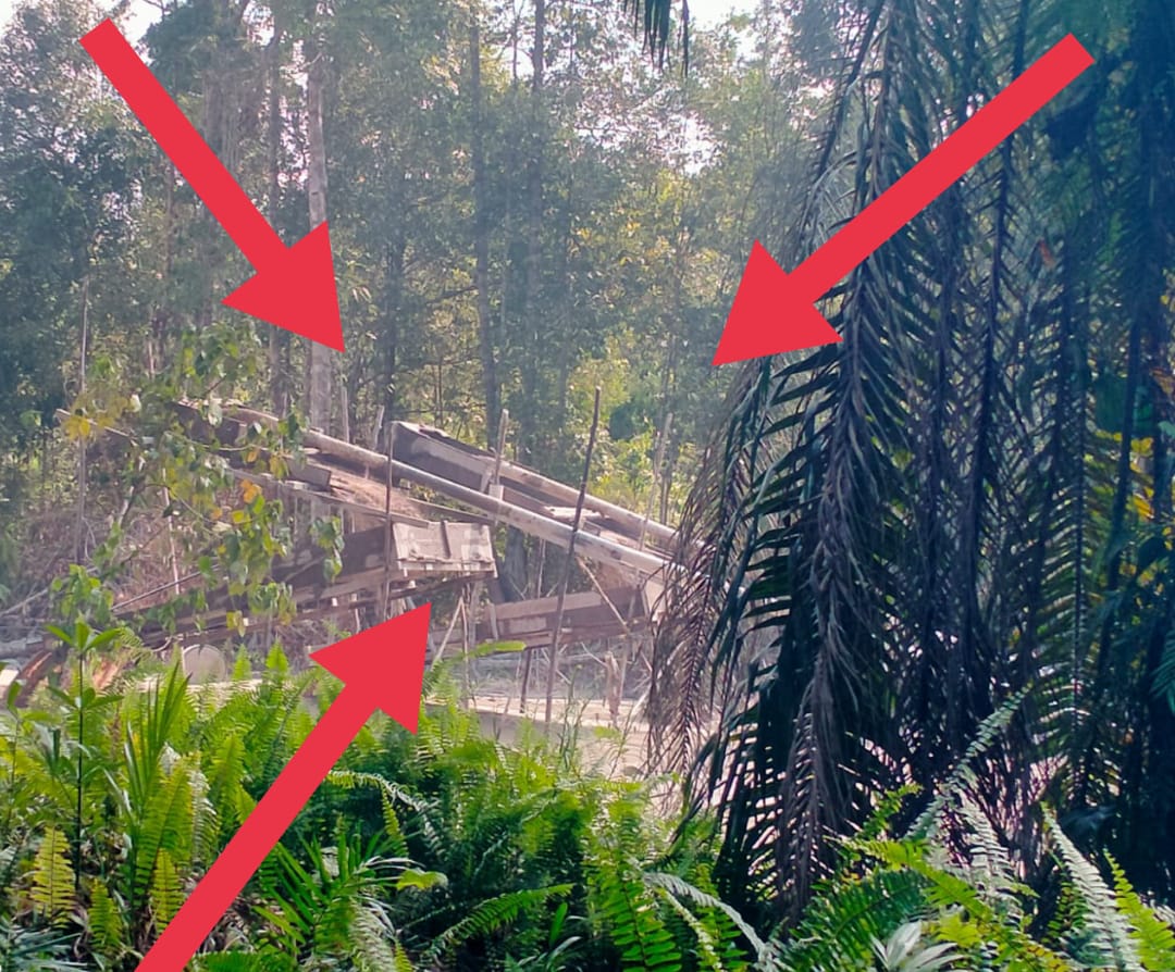 Suara Dompeng Emas Ilegal Guncang Sekadau : Aparat Diduga Jadi Pemodal dan Penerima Upeti
