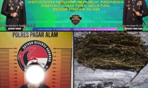 Satresnarkoba Polres Pagaralam Amankan Pelaku Tindak Pidana Narkotika