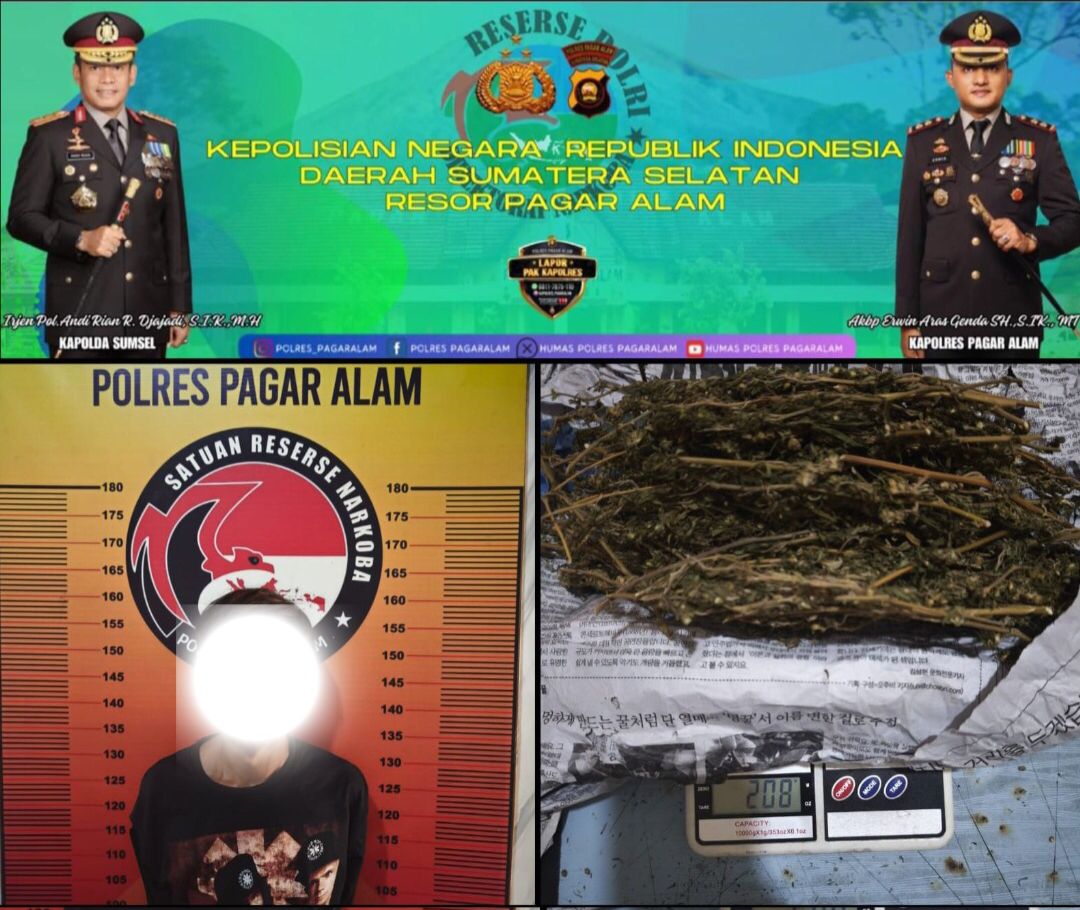 Satresnarkoba Polres Pagaralam Amankan Pelaku Tindak Pidana Narkotika