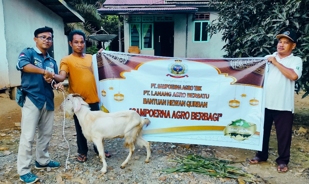 Sampoerna Agro Berbagi Hewan Kurban untuk Desa Sekitar di Ketapang