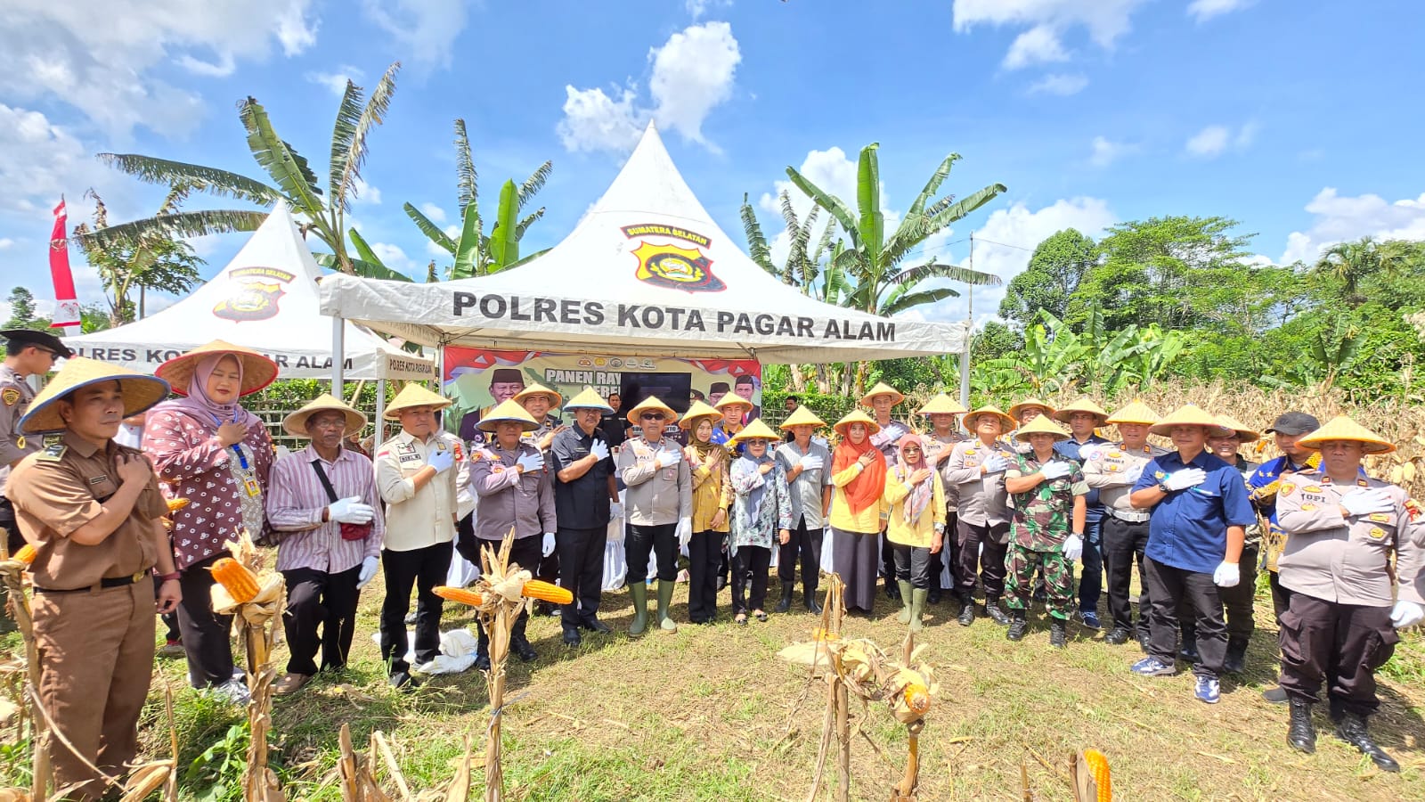 *Polres Pagaralam Sukseskan program prioritas pemerintah melalui Panen Raya Jagung Serentak Kuartal II Tahun 2025*