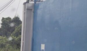 Dugaan Gudang Ilegal Penampung Daging Beku dan Bawang Bombay di Pontianak, Fakta Penangkapan oleh TNI AL di Ketapang