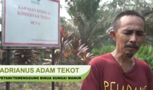 Hutan Adat Habis, Masyarakat Adat Terdesak : “Kami Tak Punya Ruang Hidup Lagi