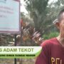 Hutan Adat Habis, Masyarakat Adat Terdesak : “Kami Tak Punya Ruang Hidup Lagi