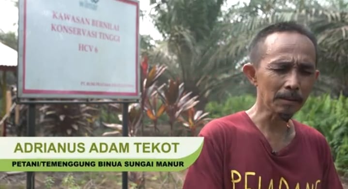 Hutan Adat Habis, Masyarakat Adat Terdesak : “Kami Tak Punya Ruang Hidup Lagi