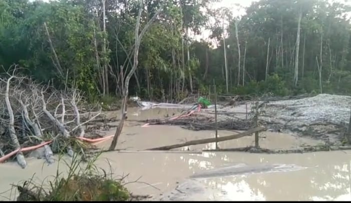 Damai di Bawah Tekanan : Wartawan Dipukul, Penambang Ilegal Aman ?
