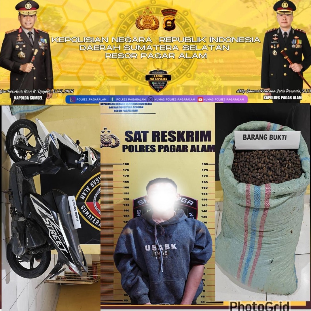 Remaja Tertangkap Tangan Curi Buah Kopi di Pagaralam, Pelaku Diamankan Warga dan Diserahkan ke Polisi
