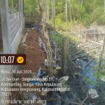 Ratusan Pohon Mangrove di Bengkayang Dibabat untuk Parkir Ilegal, Pemda Diminta Bertindak Tegas