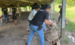 Polres Bone Bongkar Lokasi Diduga Judi Sabung Ayam, Tegaskan Komitmen Penegakan Hukum Tanpa Pandang Bulu