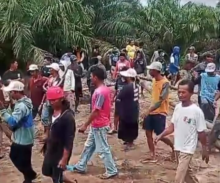 Warga Sepuk Laut Tolak Kompensasi PT PAL: Tuntut Hak Plasma Sesuai HGU 2014, Desak Pemerintah Cabut Izin Perusahaan
