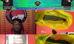 Polres Pagaralam Bekuk Pengedar Narkoba, Amankan Sabu Sabu dan Ganja