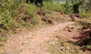 Kondisi Jalan Menuju Kampung Mattangga Desa Laiya Cenrana Maros Memperihatinkan, Padahal Indonesia Sudah Merdeka 80 Tahun
