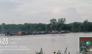 Instruksi Mabes Polri di Abaikan? PETI di Sungai Kapuas Sintang Terus Beroperasi, APH Tutup Mata