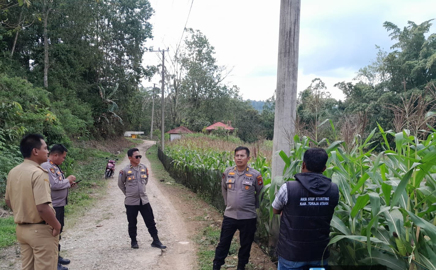 Tingkatkan Produktivitas, Kabag SDM Polres Toraja Utara Tinjau Kebun Jagung di Lembang Misa’ Ba’bana
