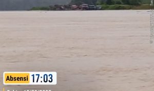 Laporan Khusus: Jejaring Tambang Ilegal, Cukong, dan Diamnya Hukum