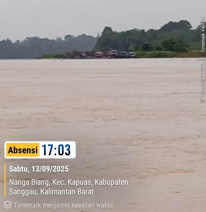 Laporan Khusus: Jejaring Tambang Ilegal, Cukong, dan Diamnya Hukum