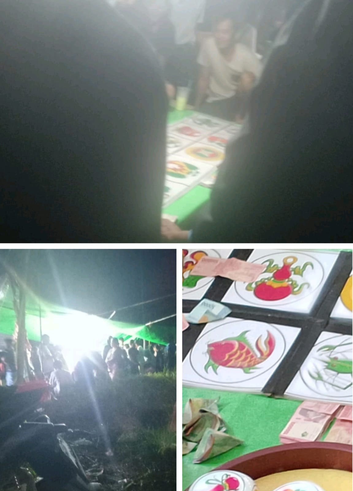 Diduga Dimotori JM, Judi Kolok-Kolok Ciderai Hiburan Rakyat di Belitang Hilir