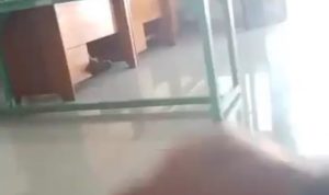 Beranikah APH dan Inspektorat Periksa Kades Laiya Cenrana?