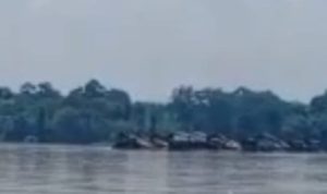50 Lanting PETI Beroperasi di Sekadau, Warga Pertanyakan Komitmen Polda Kalbar