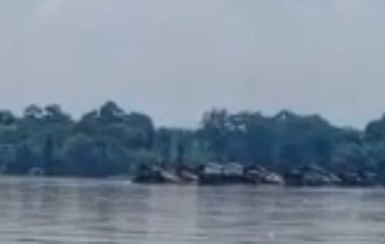 50 Lanting PETI Beroperasi di Sekadau, Warga Pertanyakan Komitmen Polda Kalbar