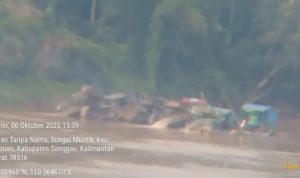 PETI di Sanggau Kian Brutal, Diduga Dijalankan di Depan Hidung Aparat