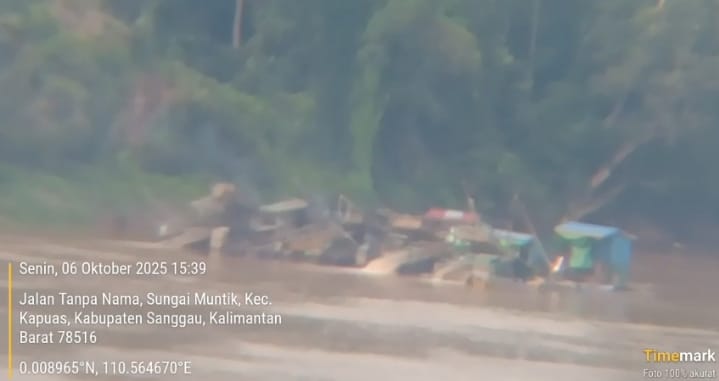 PETI di Sanggau Kian Brutal, Diduga Dijalankan di Depan Hidung Aparat