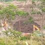 Masifnya Aktivitas Tambang Galian C Menggunakan Alat Berat Excavator di Sempu Ngancar Kediri Disorot