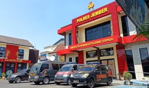 Kasus Dugaan Penggelapan Retribusi Hasil Panen Kopi Dilimpahkan ke Polres Jember, Aliansi Madura Indonesia Minta Polisi Tak Main-main