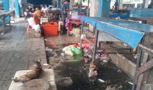 Masyarakat Keluhkan Tempat Pelelangan Ikan (TPI) Labuang Maros,Jorok dan Dipenuhi Sampah Masyarakat Keluhkan Tempat Pelelangan Ikan (TPI) Labuang Maros,Jorok dan Dipenuhi Sampah