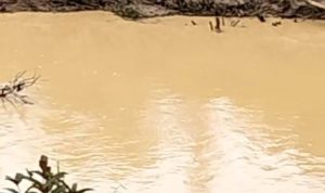 Lapor Pak Kapolda !!! Di Kab.Sintang Kalbar Di Duga Ada Aktivitas PETI Air Jadi Kotor Kami Tidak Bisa Mandi Lapor Pak Kapolda !!! Di Kab.Sintang Kalbar Di Duga Ada Aktivitas PETI Air Jadi Kotor Kami Tidak Bisa Mandi