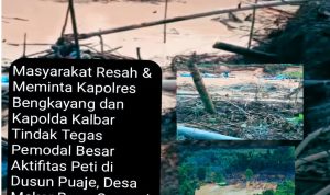 Masyarakat Meminta Kapolres dan Kapolda Tangkap dan Tindak Cecep CS Pemodal Utama PETI di Dusun Puaje, Desa Mekar Baru, Bengkayang